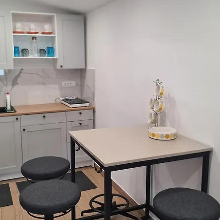 Brne Family House Apartment Postojna
