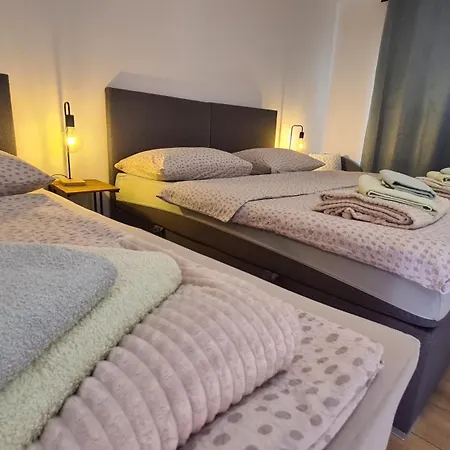 Apartment Brne Family House Postojna