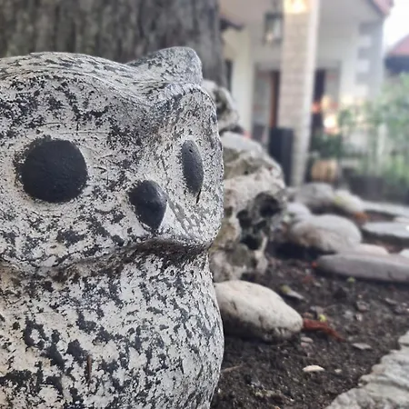 Daire Brne Family House *