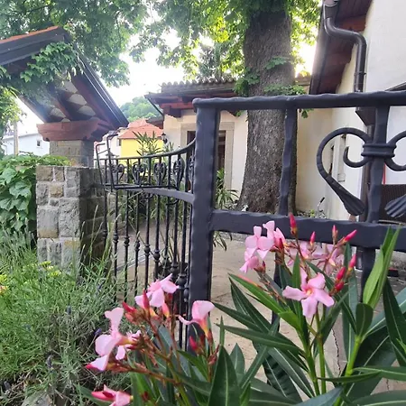 Apartma Brne Family House