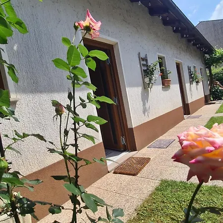 Brne Family House Postojna