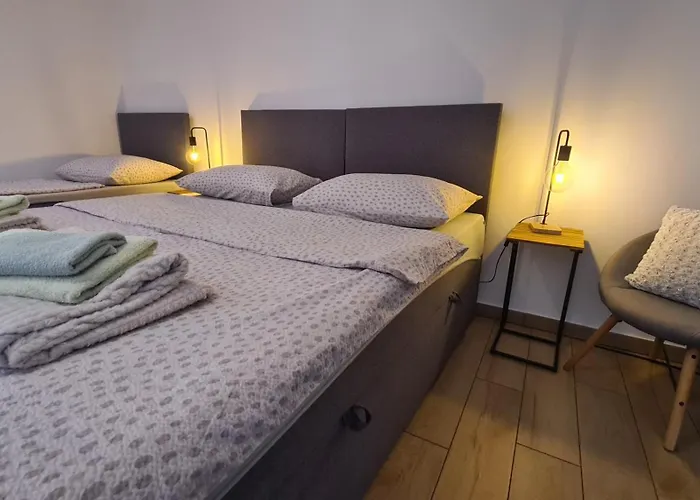 Brne Family House 公寓 波斯托伊纳